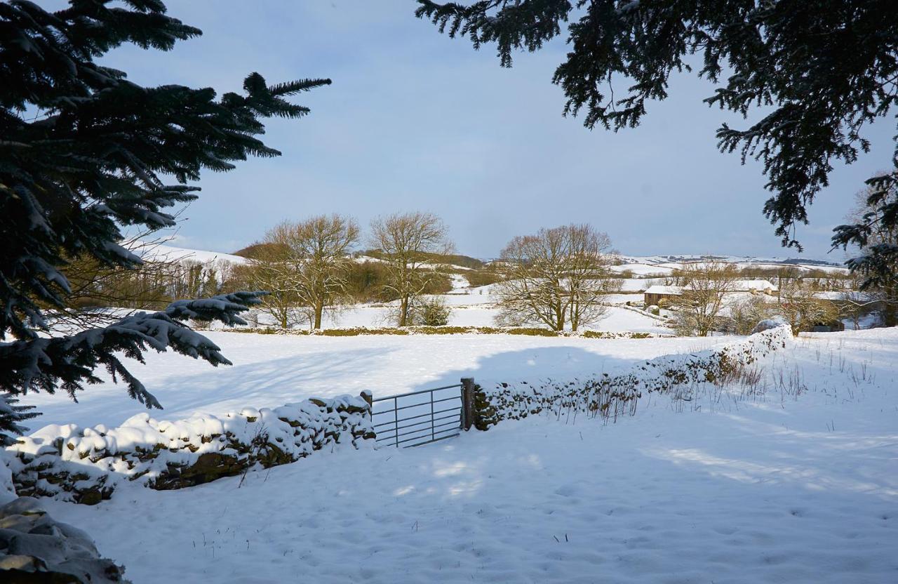 Canny Brow Barn Kendal Esterno foto